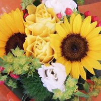 みさきてぃ໒꒱✡️⛄️😋 (@miimi_slhcrew) Twitter profile photo