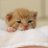 aimsavaage's profile image