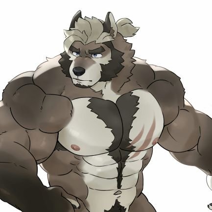 Rikuwolfbr's profile picture. lobo dominador nunca dejó que mi presa escape 😘❤ en busca de su dueño