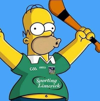 Dubhdove's profile picture. he/him