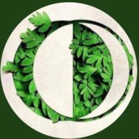 Aslihan Eralp Erdogan (@aslihanerdogan) 's Twitter Profile