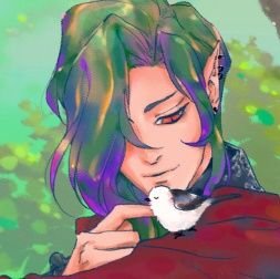 Camio Tatsumaさんのプロフィール画像
