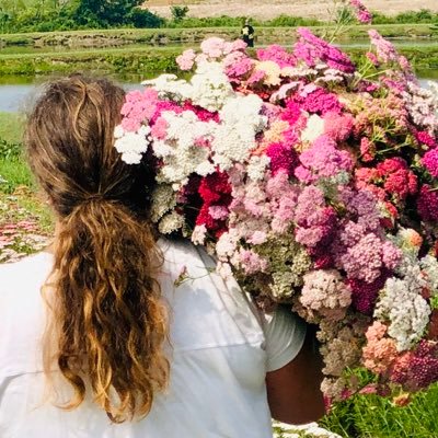 Specialty Cut Flower growers on a historic farm on Virginia’s Eastern Shore. Dahlia Grower. https://t.co/1e9nmk8UOH