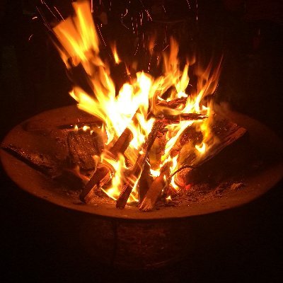 mlesterh's profile picture. A patriot