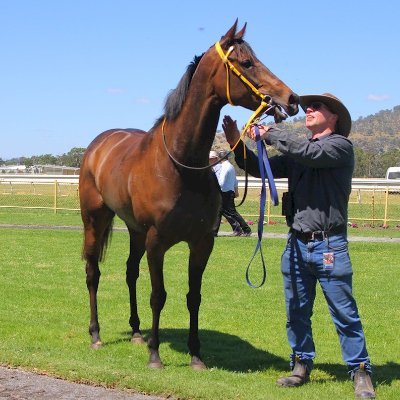 Anthony Cosgriff Racing is a professional racing stable based at Ballarat's world class training facilities.