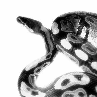 Miki (@sweetsweetdays) / Posts / X