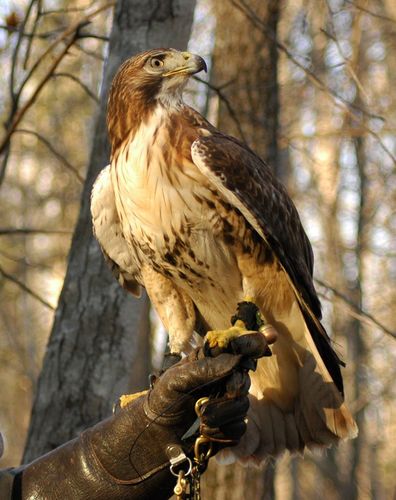 ChaplainD's profile picture. Grace Covenant Church, Charlotte NC