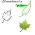 Theoretical and Mathematical Biology 🧬💻🧪 (@biomathematic15) Twitter profile photo Theoretical and Mathematical Biology 🧬💻🧪 (@biomathematic15) Twitter profile photo