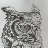 Phil Helliwell (@drhelliwell) 's Twitter Profile