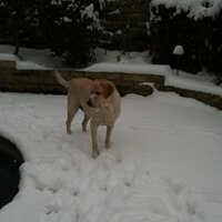 J L Goody (@j_l_goody) 's Twitter Profile