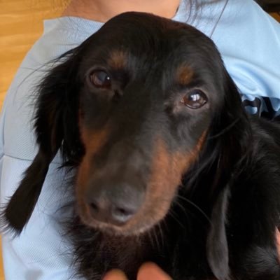 eugenieshek's profile picture. All we need is the awareness of how blessed we really are. Our ability to grow is directly proportional to an ability to entertain the uncomfortable.