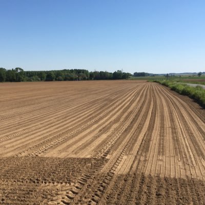 pierrot400wrf1's profile picture. Chef de cultures dans le saint-quentinois