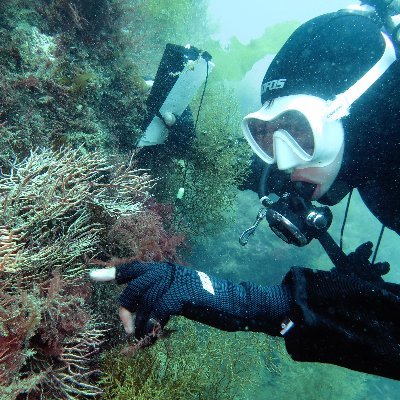 Post-doc | Dalhousie University | deep-sea corals | beer brewing