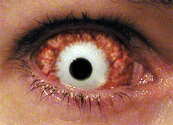 SurviveZombies's profile picture. We are trying to help you survive the Zombie Apocolypse!