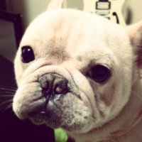 Log (@loggametv1) 's Twitter Profile