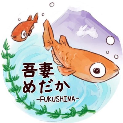 吾妻めだか 寝る前に気温を見てきたら 10度 さすがにめだかも心配になってきました これ以上気温が下がったらプラ舟は氷付けになりそう T Co 6hokuvih8v 吾妻めだか 寝る前に気温を見てきたら 10度 さすがにめだかも心配になってきました これ以上気温が下がったらプラ舟は氷付けになりそう T Co 6hokuvih8v