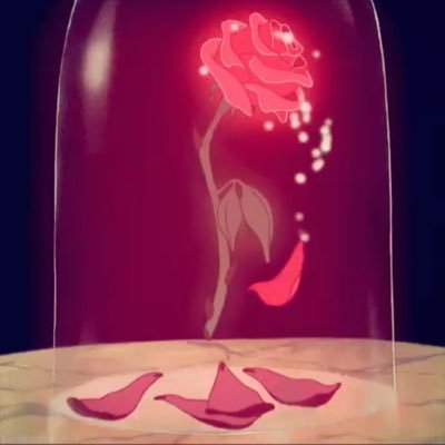 popnnn07's profile picture. 