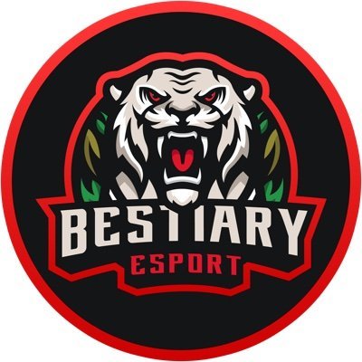 BrolyyyDE's profile picture. 19 ans, joueurs COD Modern Warfare, 5LAN COD BO2