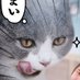 mommee_nongnine❤️🍓❤️ (@palmyjung3) Twitter profile photo mommee_nongnine❤️🍓❤️ (@palmyjung3) Twitter profile photo