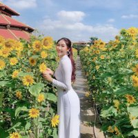 Tram Nguyen (@tramnguyen2606) 's Twitter Profile
