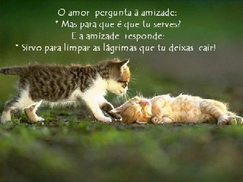 ericamayumi2's profile picture. 