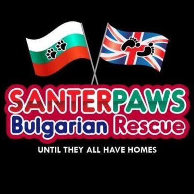 Santerpaws Bulgarian Rescue is a small charity (reg. no 1183401) based in Bulgaria, rescuing & rehoming dogs into loving homes in the UK & Germany since 2015.