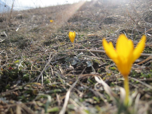 cosmetikmimi's profile picture. 