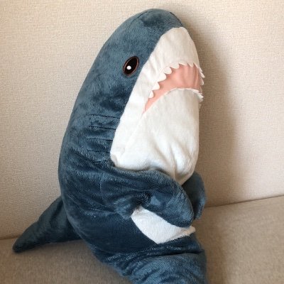 経理/元鳥人間(T-MIT)/人生の半分を飛行機に費やしてる人/α6700/アビタスで会計のお勉強中…