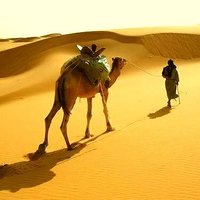🐪عــــــابـر ســــــبيل🐪 (@abcd126024) 's Twitter Profile Photo 🐪عــــــابـر ســــــبيل🐪 (@abcd126024) 's Twitter Profile Photo