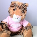 Heetae Kim - @heetaekim - Twitter