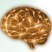 Miami Global Brain Tumor Symposium (@brainmiami) Twitter profile photo Miami Global Brain Tumor Symposium (@brainmiami) Twitter profile photo