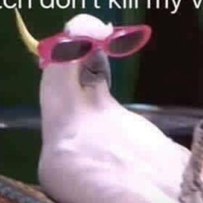 bird maniacさんのプロフィール画像
