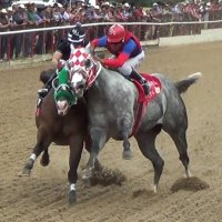 Hablemos de Caballos (@solodecaballos) 's Twitter Profile