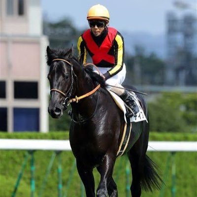kome_kiraboshi's profile picture. 高競馬 好きな馬→ディアドラ トゥザグローリー レシステンシア キズナ フェアリーポルカ 和田竜二騎手
