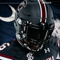 #WelcomeHome(@FutureGamecocks) 's Twitter Profile Photo