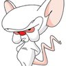 IThippy's profile picture. Are you pondering what I’m pondering?
