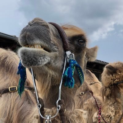 MCK_Twitt's profile picture. 