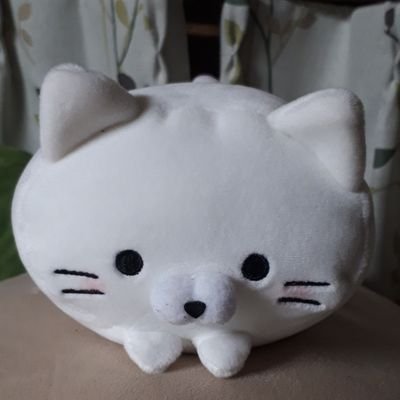 シロマル(イラスト垢)さんのプロフィール画像