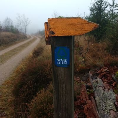 Jurist som jobbar med energifrågor. För:Cykel, synth, punk och kärnkraft. Mot:Massövervakning och konformism
