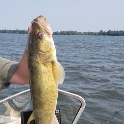 jonesse62's profile picture. Machine Designer, Crew Chief/mechanic for Lutz Racing, Multi Species Angler, Walleyes is a favorite