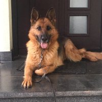 Andreja Šušteršič (@andrejauteri1) 's Twitter Profile