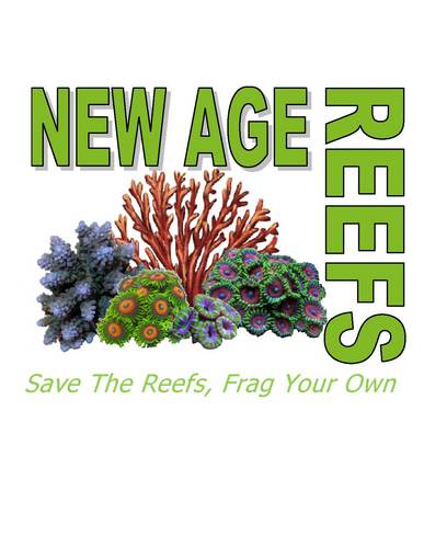 NewAgeReefs is a website dedicated to the hobby of reef keeping! Come visit us today!