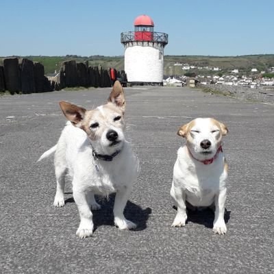 Born & bred in 🏴󠁧󠁢󠁷󠁬󠁳󠁿 & spending time on the beach with my furbabies Lily & Tucker. RIP Chester #breastcancersurvivor 
#birds #jackrussells #walks