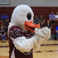 Baytown Lee High School (@rel_ganders) 's Twitter Profile
