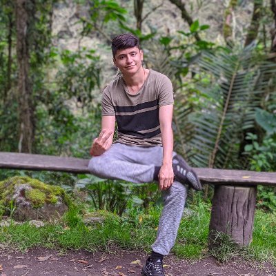 MangaAcero's profile picture. I'm a student in 
@HolbertonCOL
. Full Stack Software Engineer(in progress...)