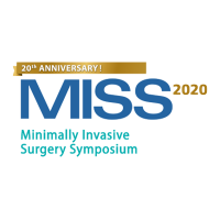 MISS Conference (@missconference) 's Twitter Profile