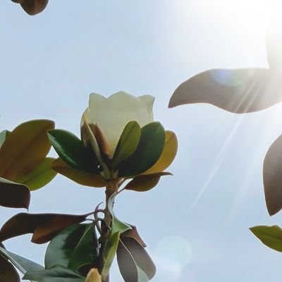 DanaPhilpott2's profile picture. 