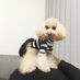 @toonpeedog