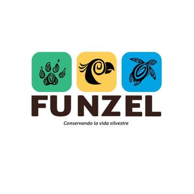 FUNZEL es una organización sin fines de lucro cuya misión es la protección y conservación de la fauna silvestre y marina de El Salvador. Tel. (503) 2566-6148