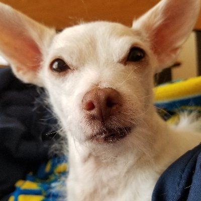 Drake4444444's profile picture. Autobiography is only to be trusted when it reveals something disgraceful. - George Orwell